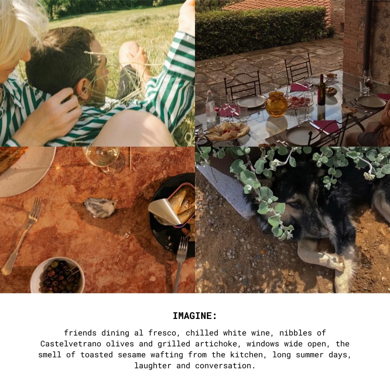 Lifestyle image of The New Savant Summer Splendor Candle