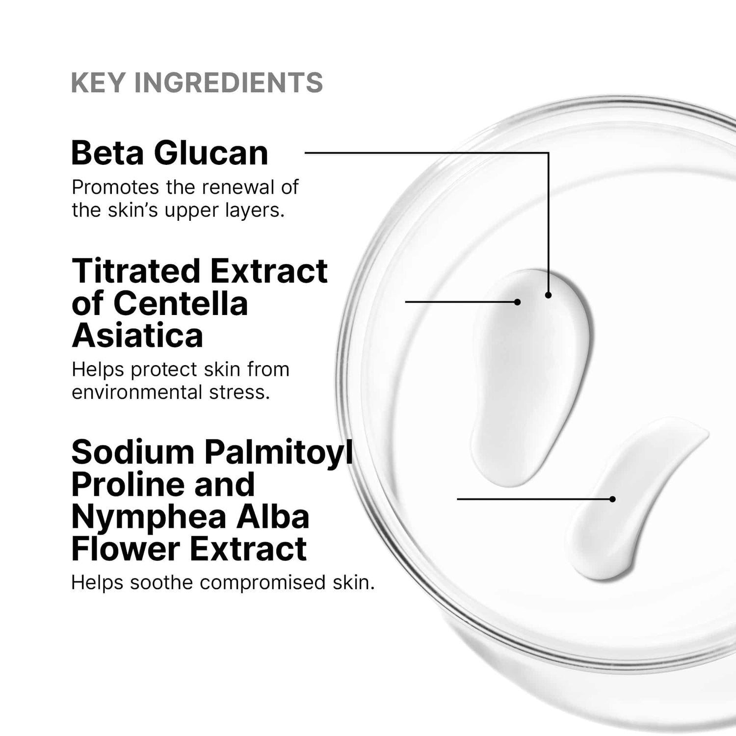 Image of product in the same collection as SkinCeuticals Epidermal Repair