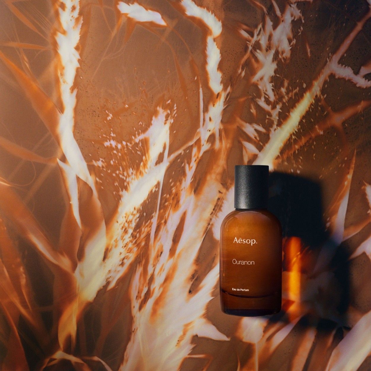 Lifestyle image of Aesop Ouranon Eau de Parfum