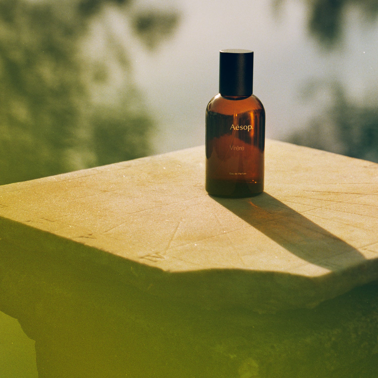 Lifestyle image of Aesop Virēre Eau de Parfum
