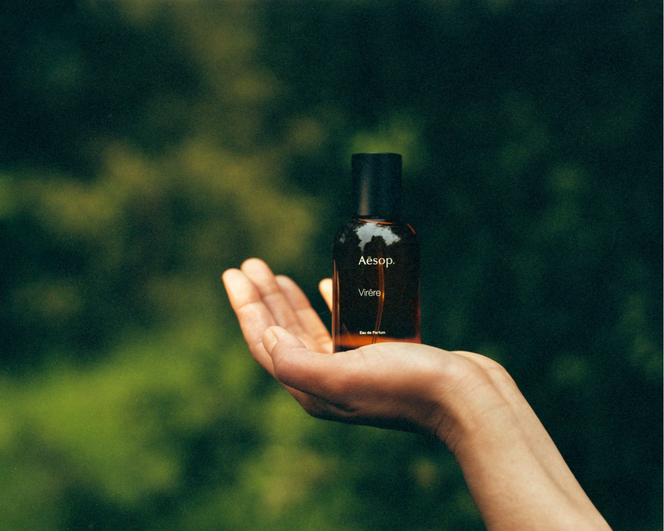 Lifestyle image of Aesop Virēre Eau de Parfum