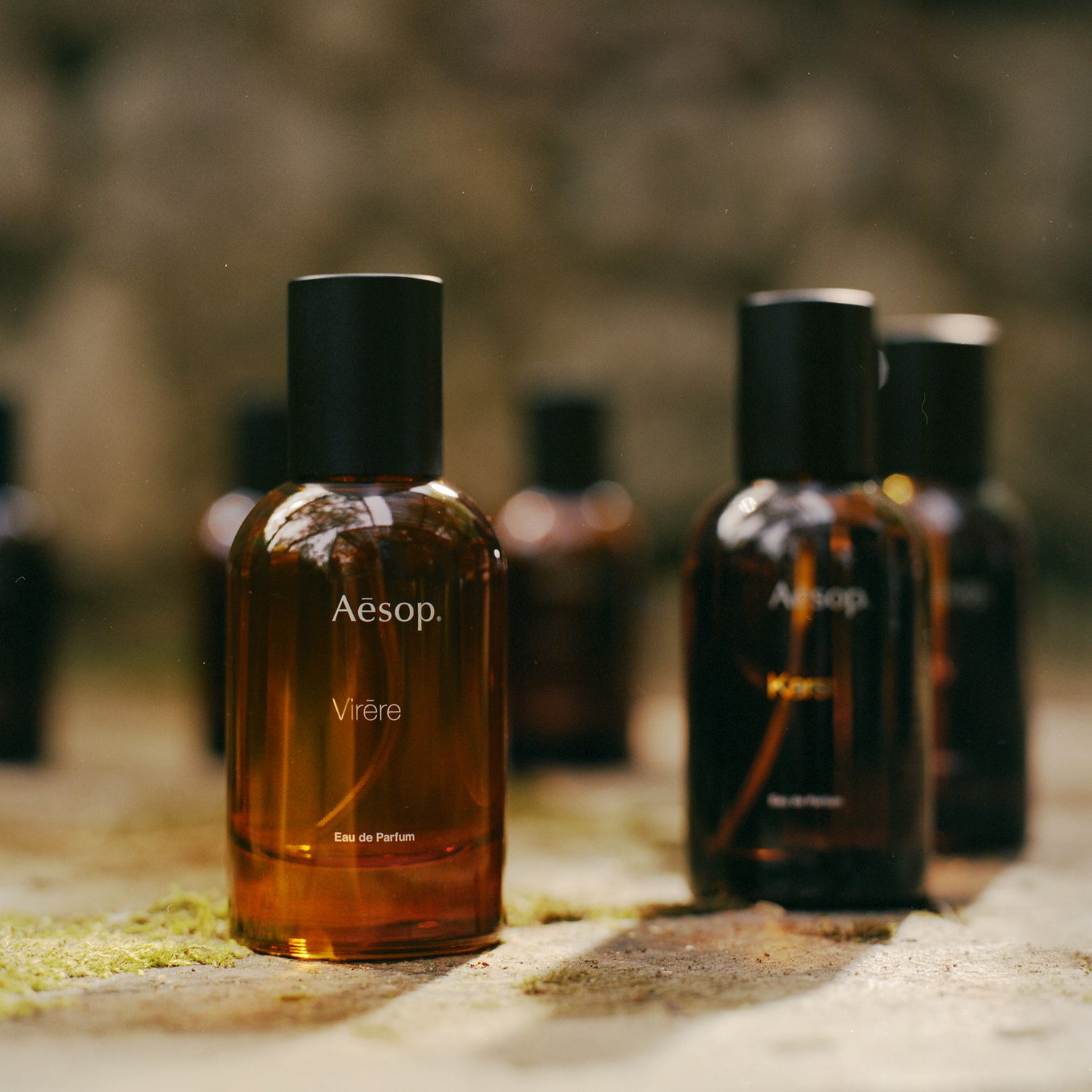 Lifestyle image of Aesop Virēre Eau de Parfum