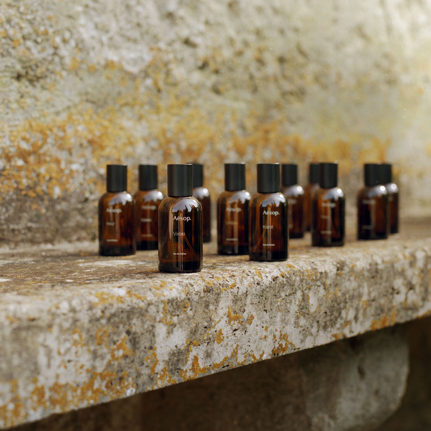 Lifestyle image of Aesop Virēre Eau de Parfum