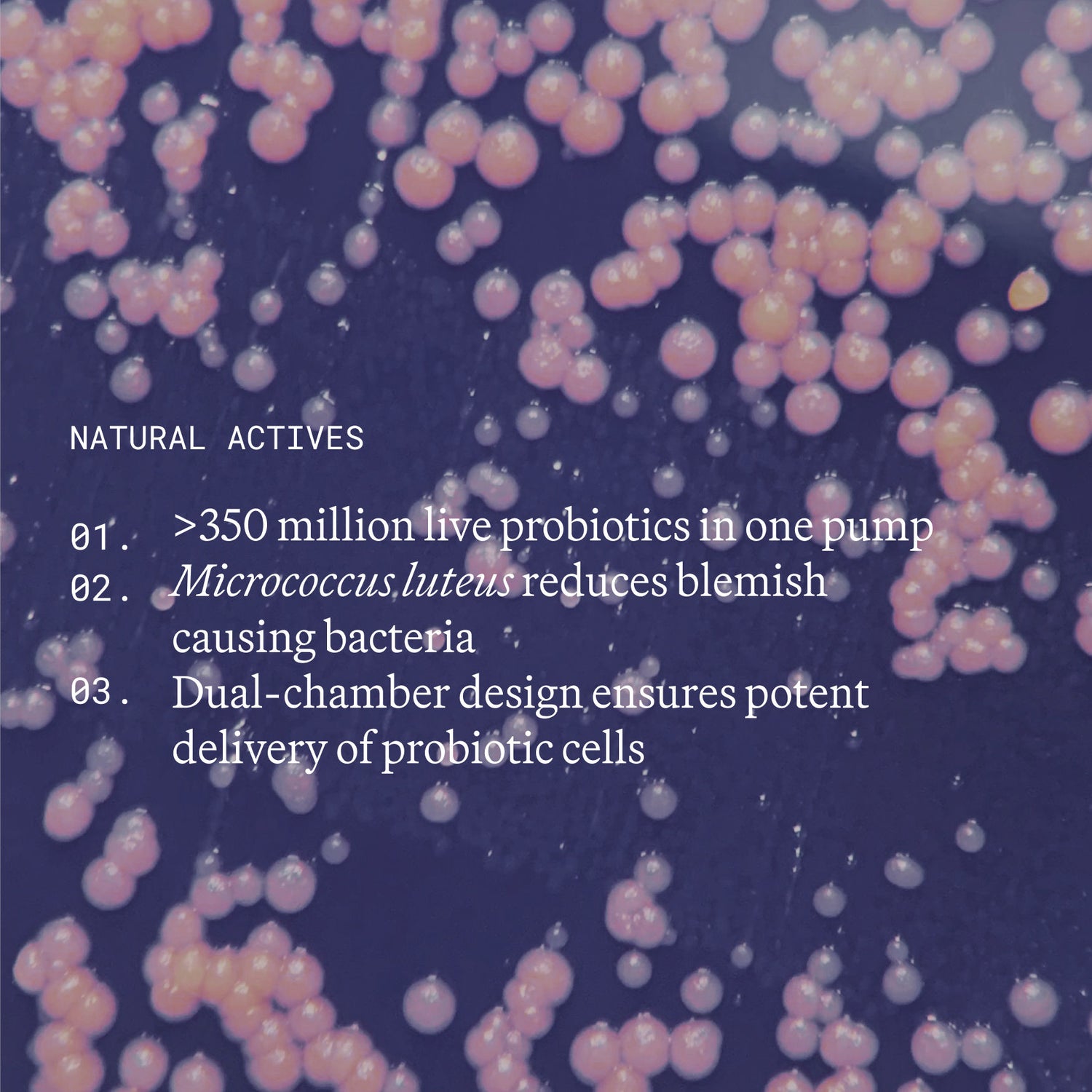 Information related to Emma Lewisham Supernatural Blemish Face Serum