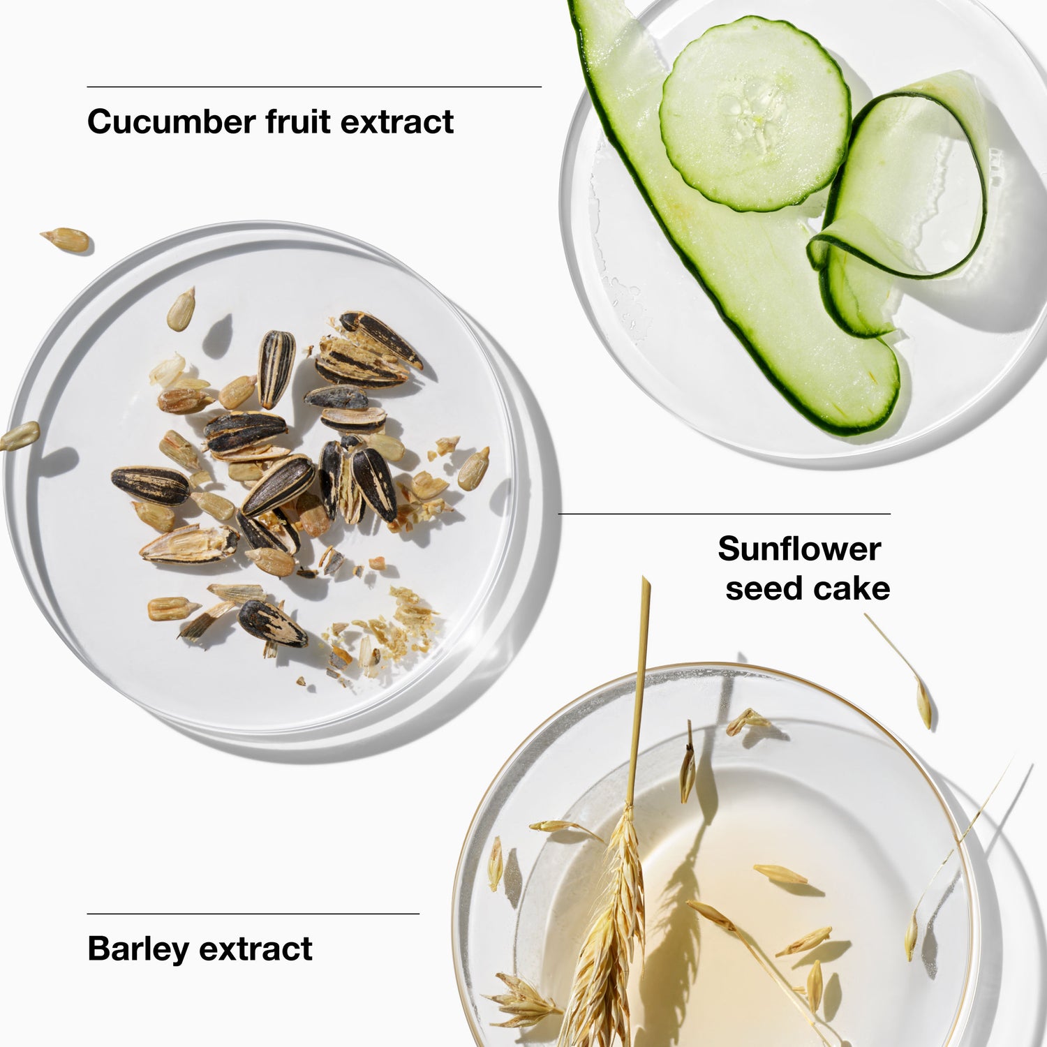 Information related to Clinique Dramatically Different Moisturizing Gel