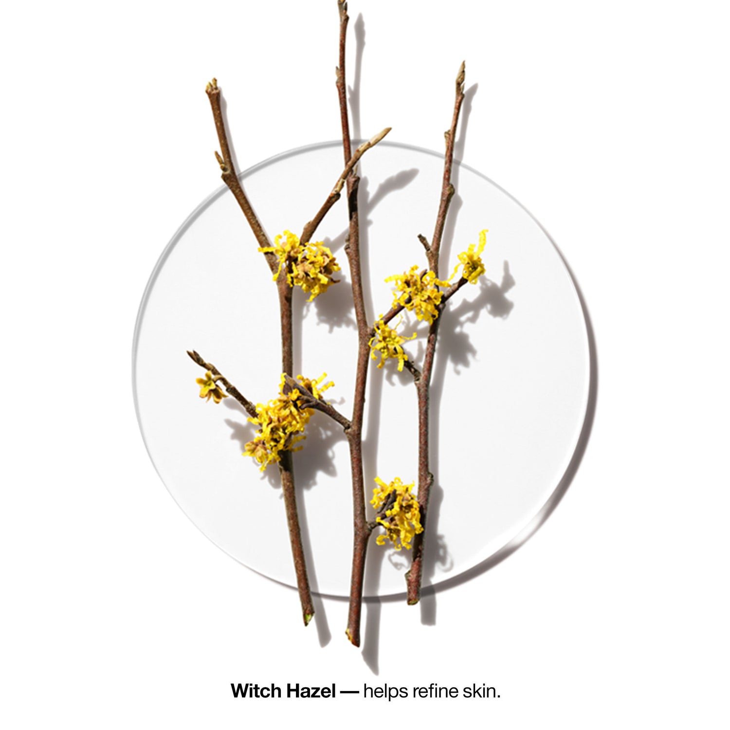 Information related to Clinique Clarifying Lotion 4