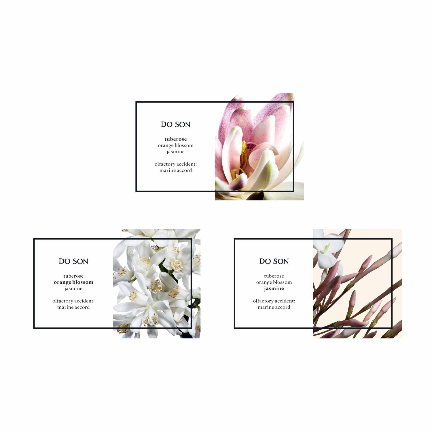 Information related to Diptyque Do Son Eau de Toilette