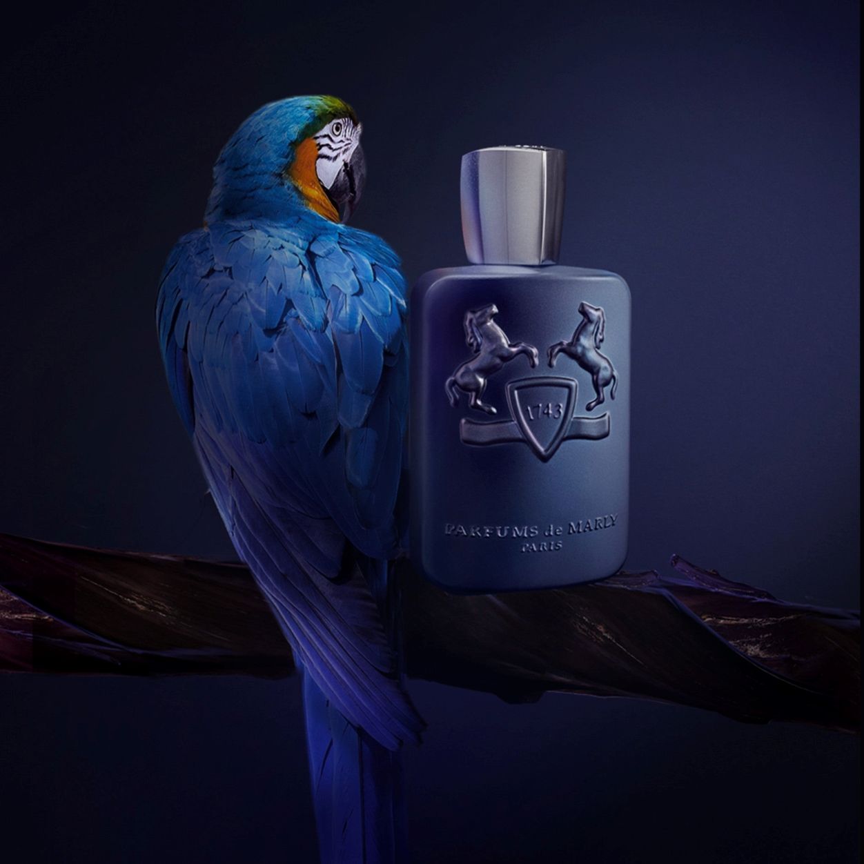 Lifestyle image of Parfums de Marly Layton Eau de Parfum variant: 2.5 fl oz