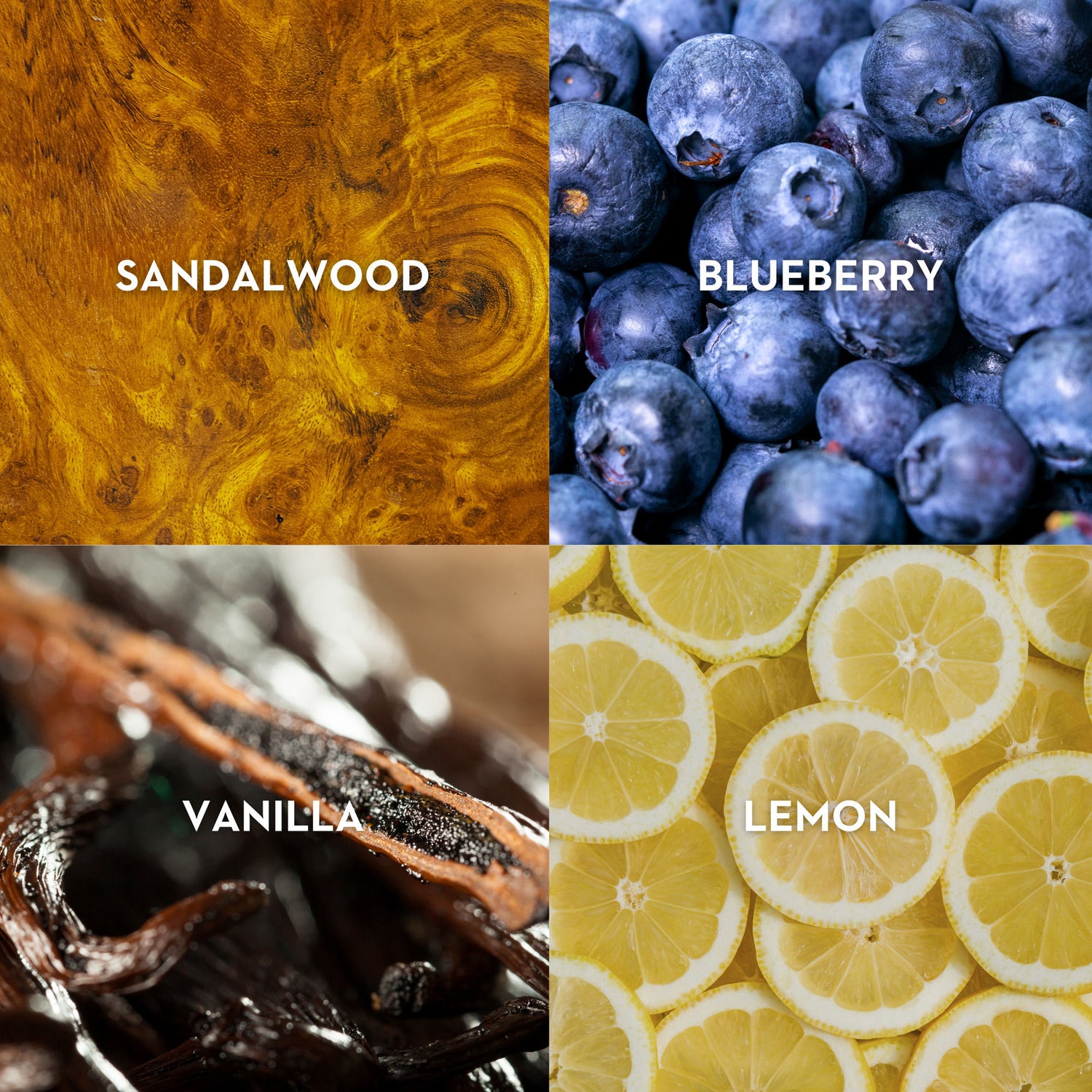 Lifestyle image of Vilhelm Parfumerie Poets of Berlin Eau de Parfum variant: 1.7 fl oz