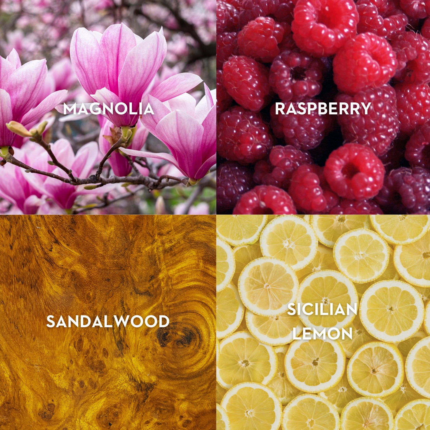 Lifestyle image of Vilhelm Parfumerie Opus Kore Eau de Parfum