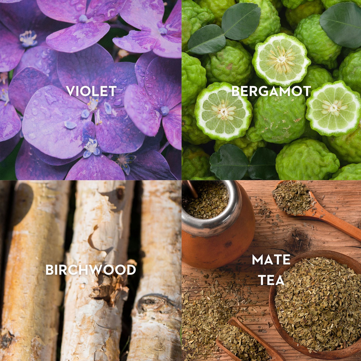 Lifestyle image of Vilhelm Parfumerie Black Citrus Eau de Parfum variant: 1.7 fl oz