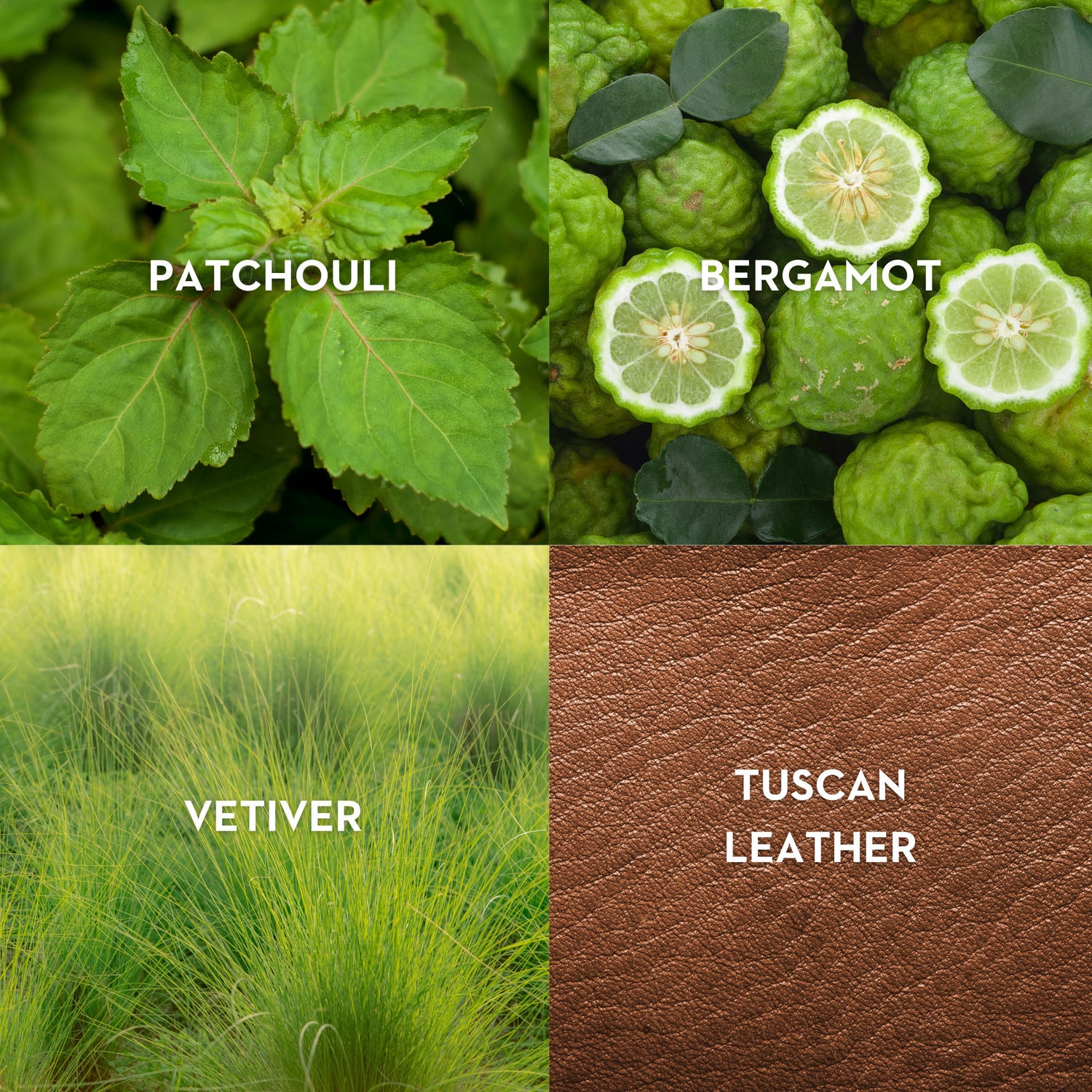 Lifestyle image of Vilhelm Parfumerie Morning Chess Eau de Parfum variant: 3.38 fl oz