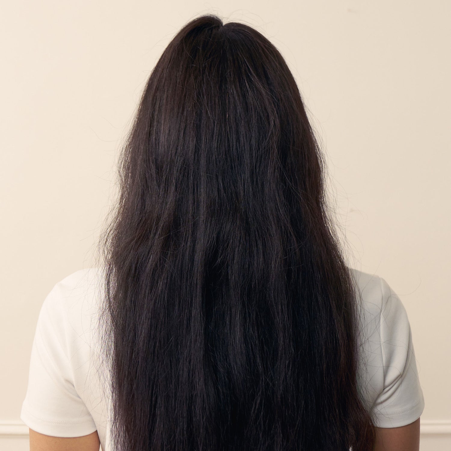 Before and after results of using Christophe Robin Regenerating Shampoo with Prickly Pear Oil variant: 8.4 fl oz