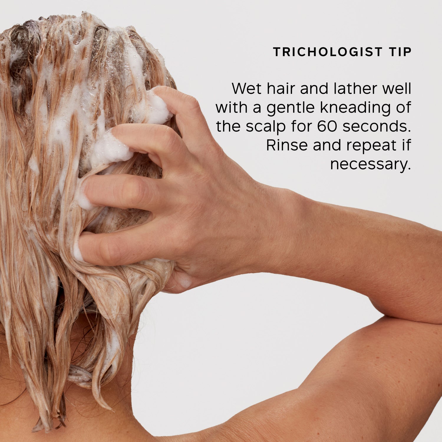 Information related to Philip Kingsley Body Building Weightless Shampoo