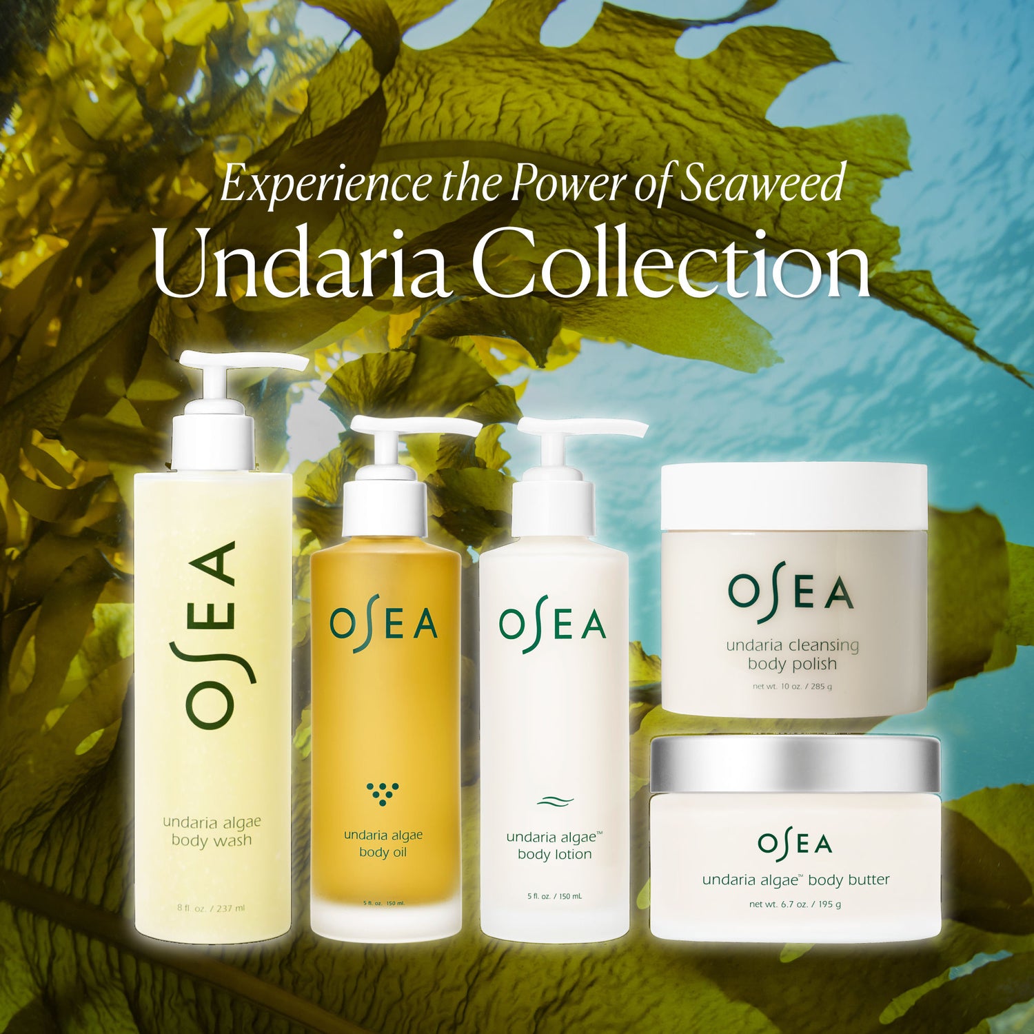 Image of product in the same collection as OSEA Undaria Algae Body Butter