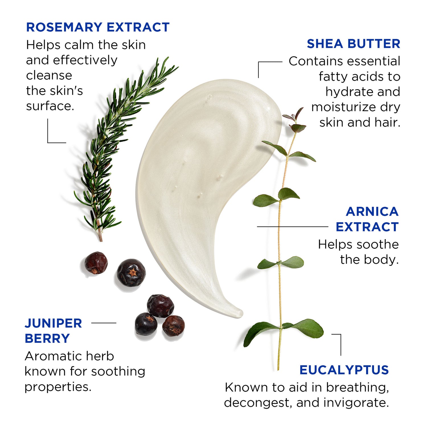 Information related to Jack Black Turbo Wash Energizing Cleanser for Hair and Body