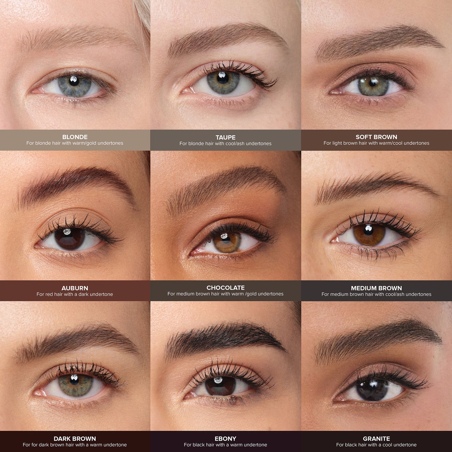 A shade comparison of Anastasia Beverly Hills Medium Brown variant: Medium Brown
