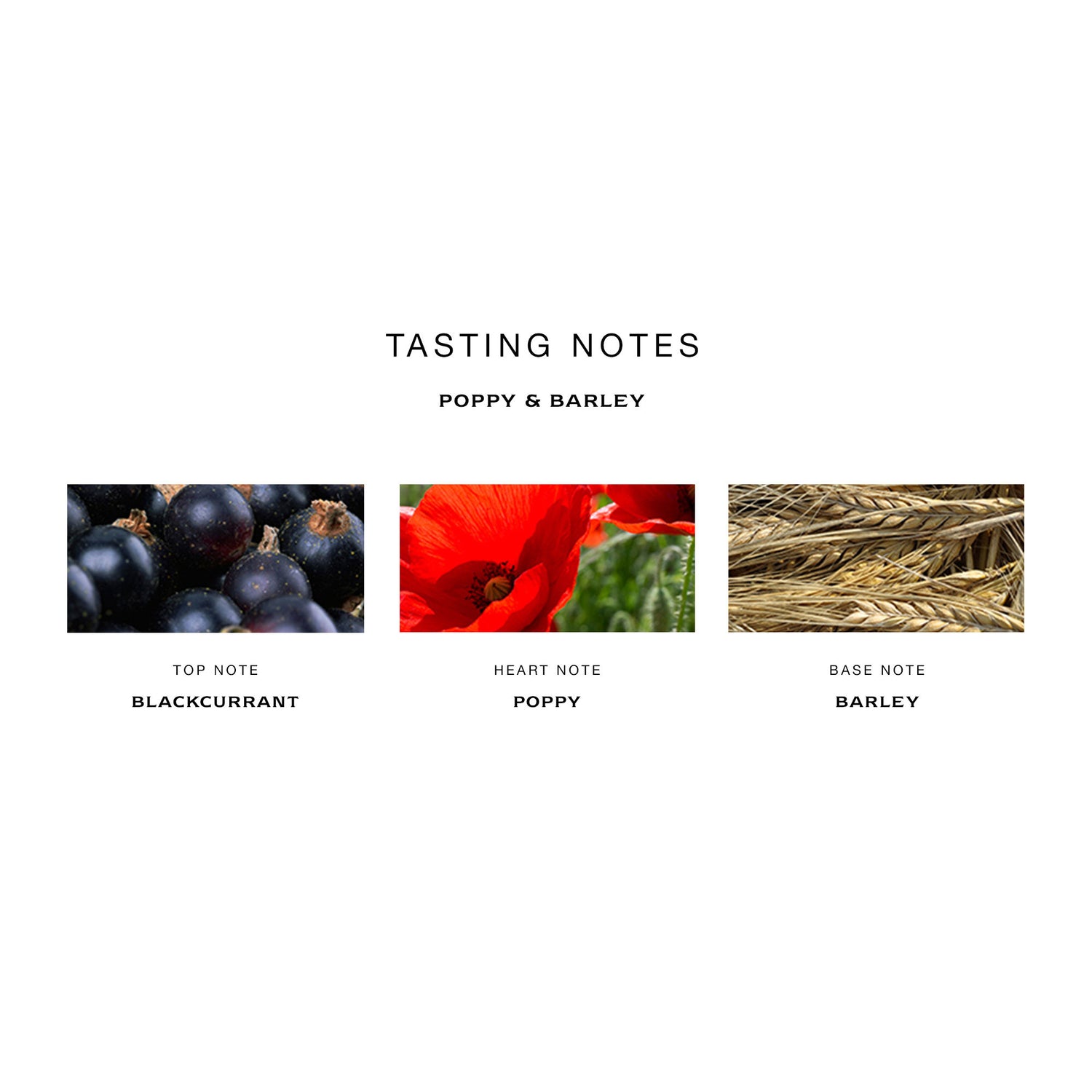 Information related to Jo Malone London Poppy and Barley Cologne