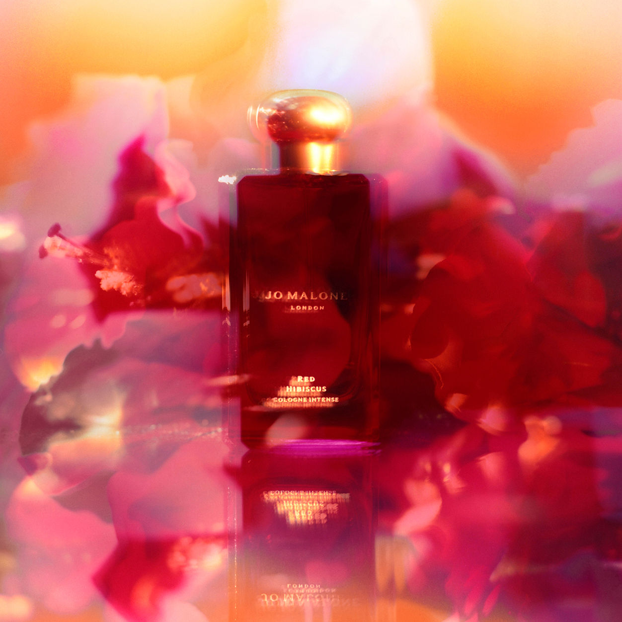 Lifestyle image of Jo Malone London Red Hibiscus Cologne Intense variant: 1.7 fl oz