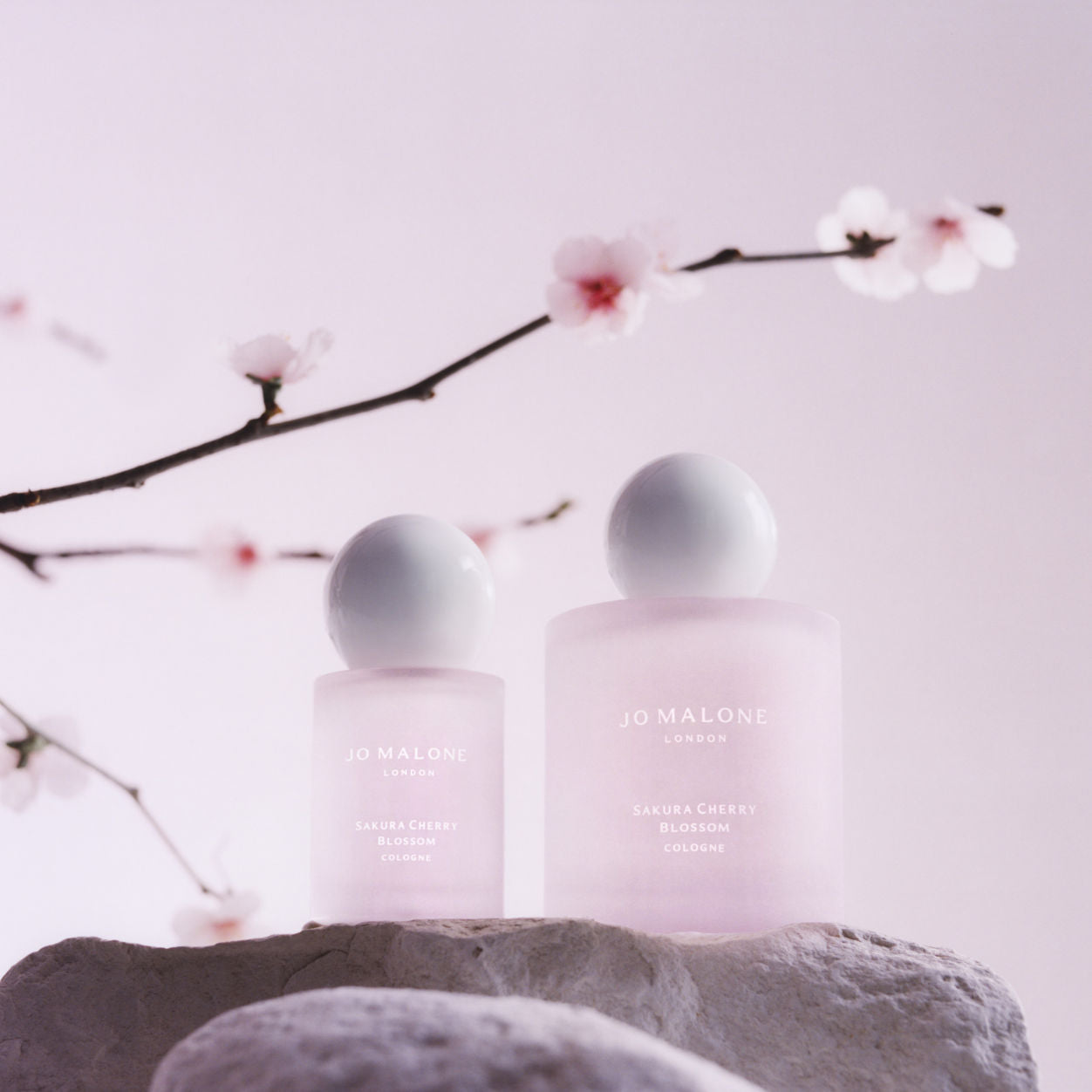 Packette image of Jo Malone London Sakura Cherry Blossom variant: 1 fl oz