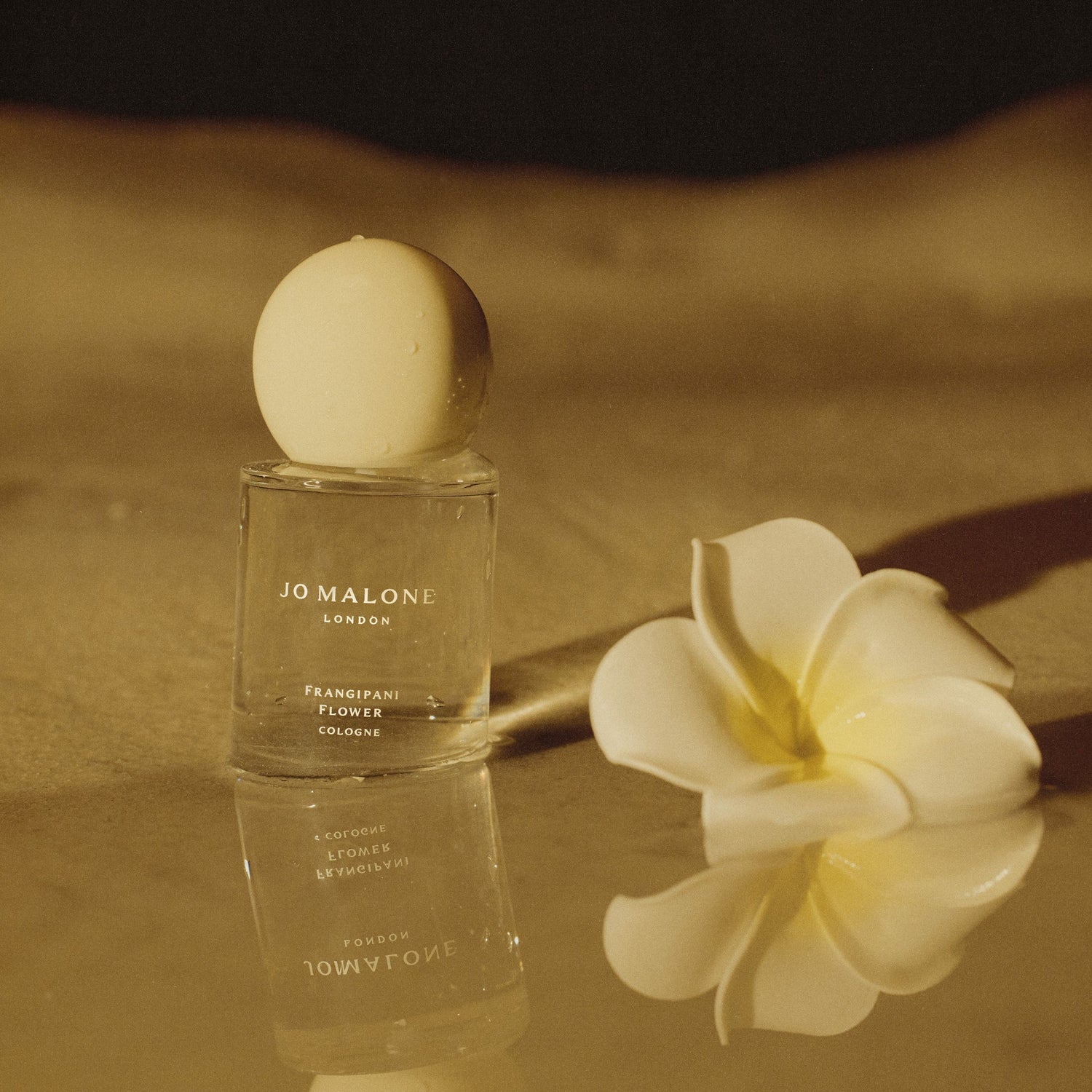 Lifestyle image of Jo Malone London Frangipani Flower Cologne variant: 1 fl oz
