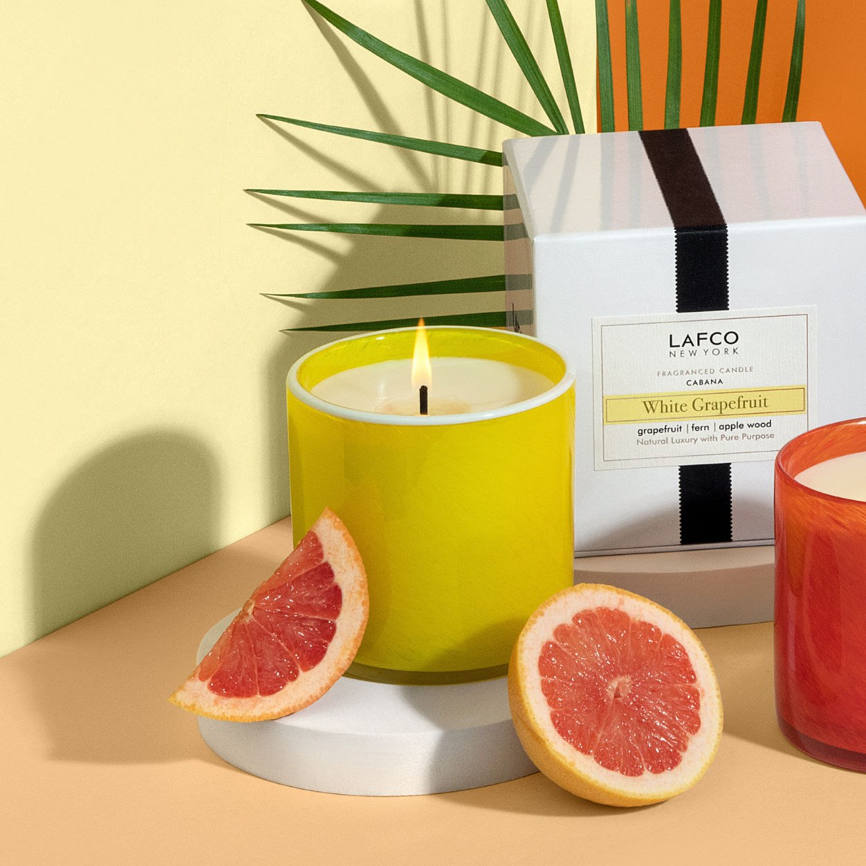 Lifestyle image of Lafco White Grapefruit Candle variant: 15.5 oz (Signature)