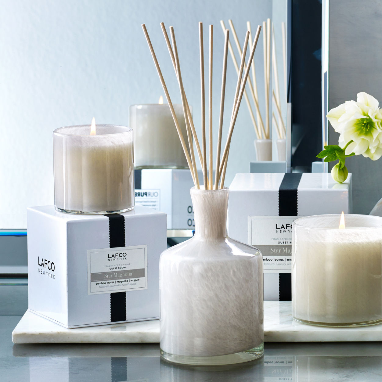 Lifestyle image of Lafco Star Magnolia Candle variant: 15.5 oz (Signature)