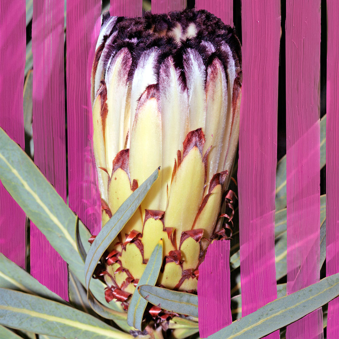 Lifestyle image of Byredo Inflorescence Eau de Parfum variant: 1.7 fl oz