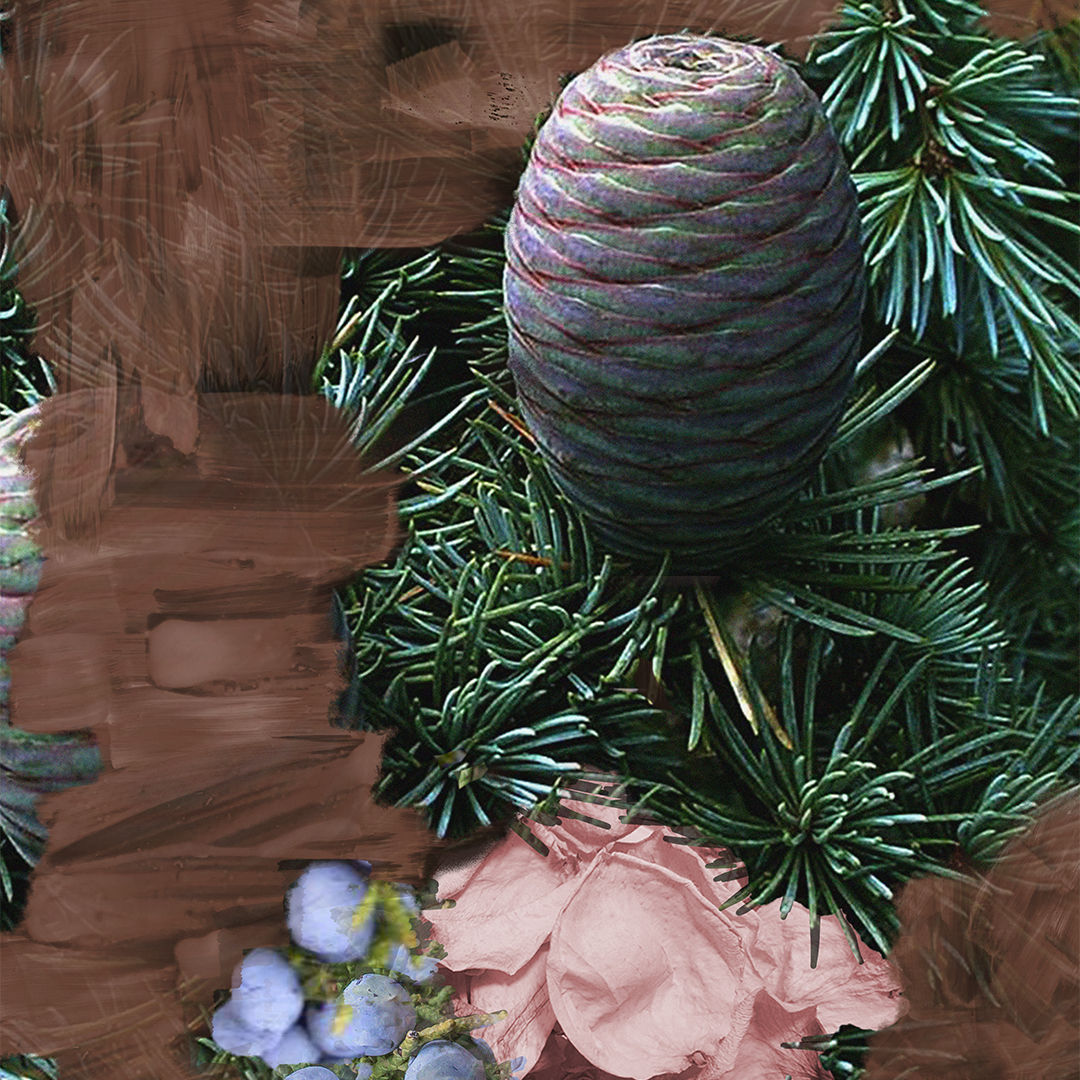 Lifestyle image of Byredo Super Cedar Eau de Parfum variant: 1.7 fl oz