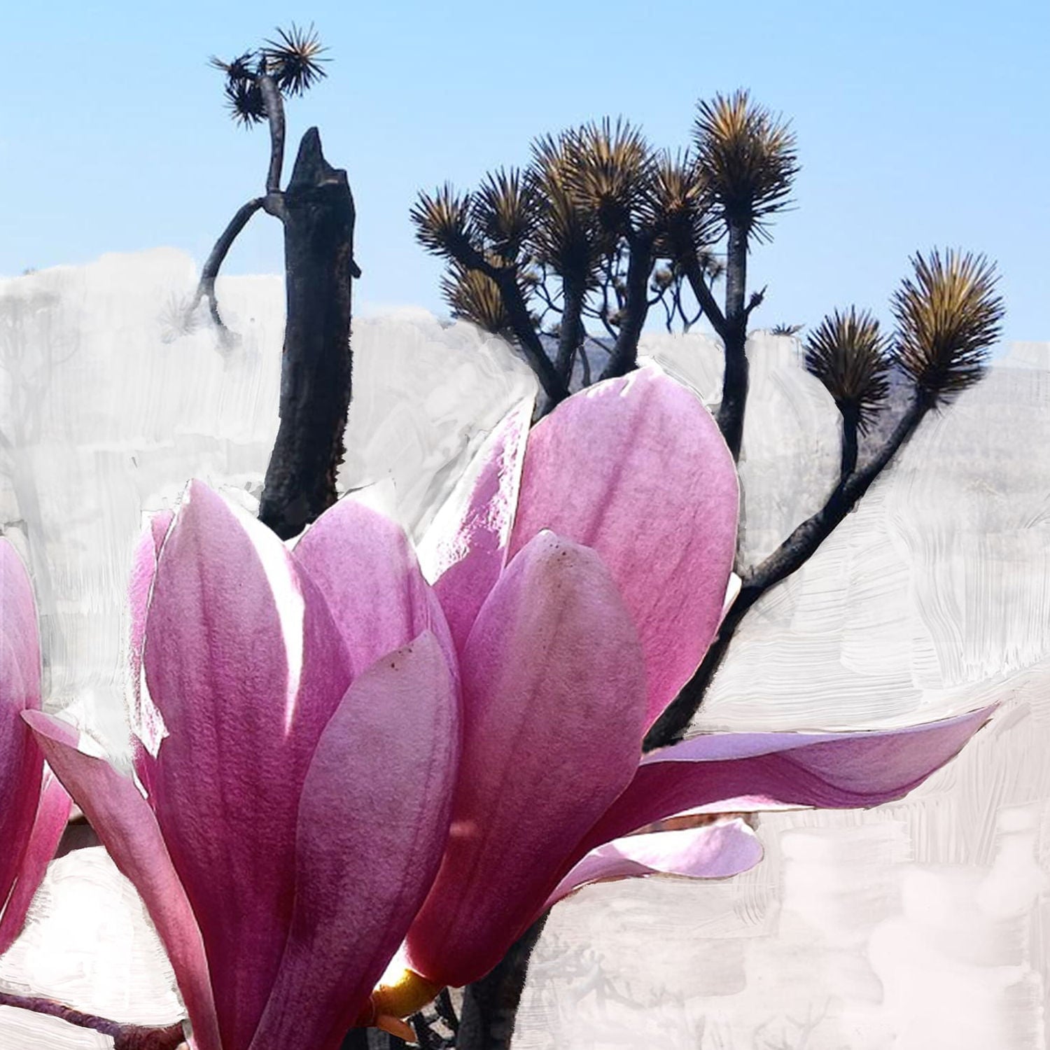 Lifestyle image of Byredo Mojave Ghost Body Lotion