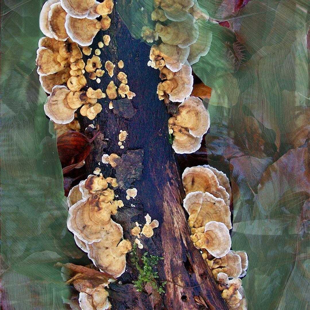 Lifestyle image of Byredo Oud Immortel Eau de Parfum variant: 3.4 fl oz