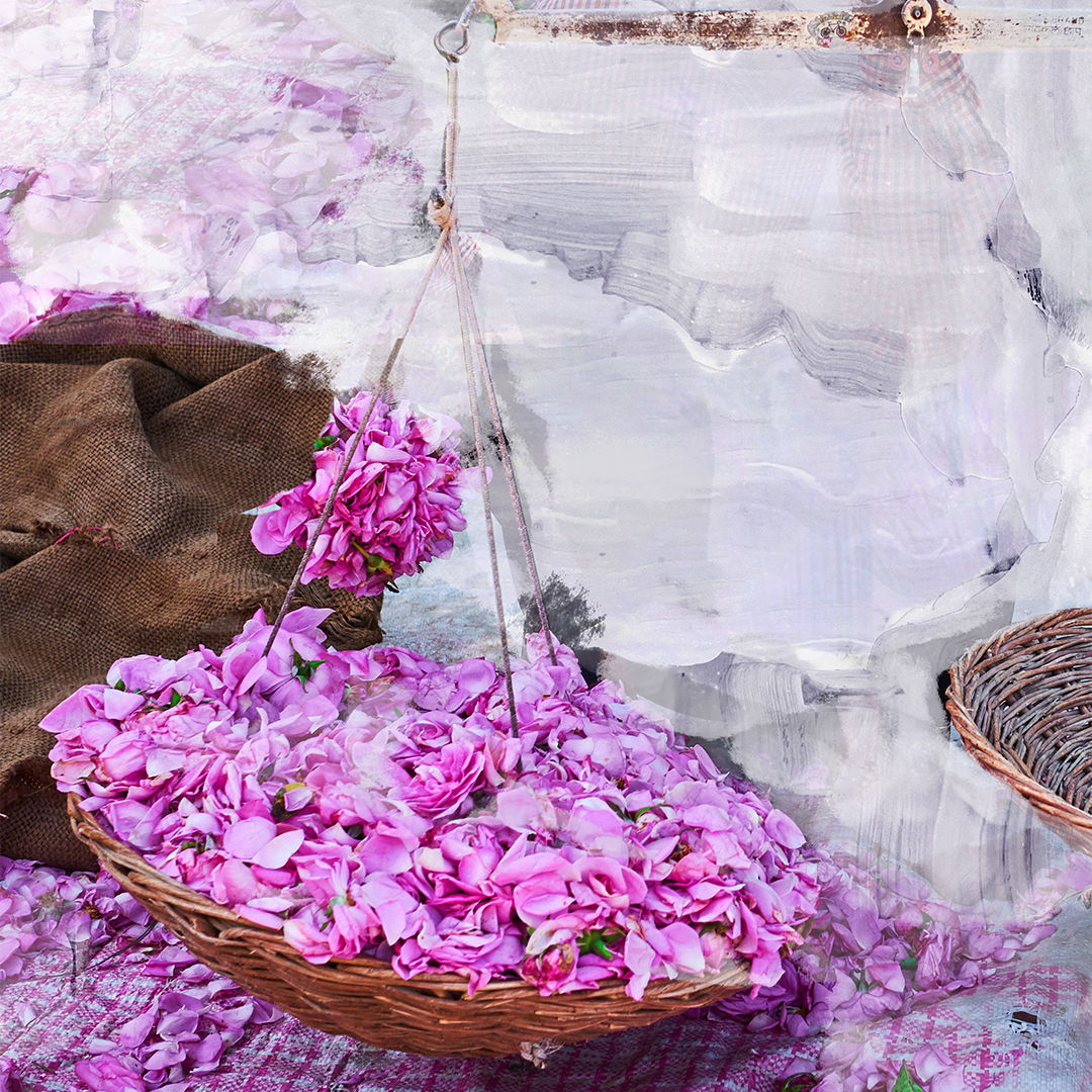 Lifestyle image of Byredo Young Rose Eau de Parfum variant: 3.4 fl oz