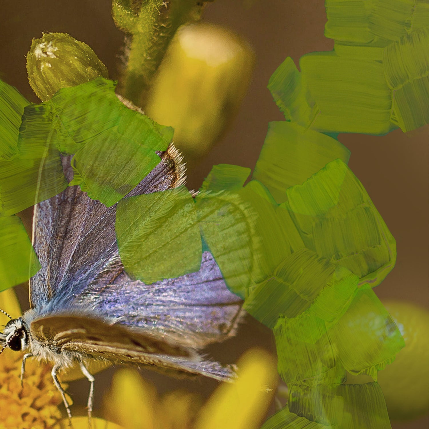 Lifestyle image of Byredo Animalique Eau de Parfum variant: 1.7 fl oz