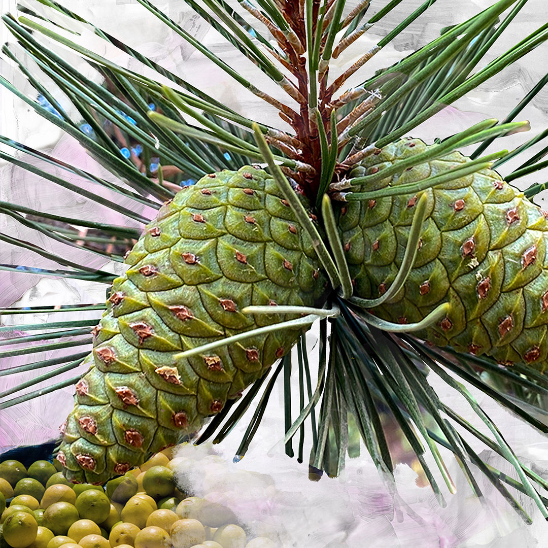 Lifestyle image of Byredo Gypsy Water Eau de Parfum variant: 1.7 fl oz