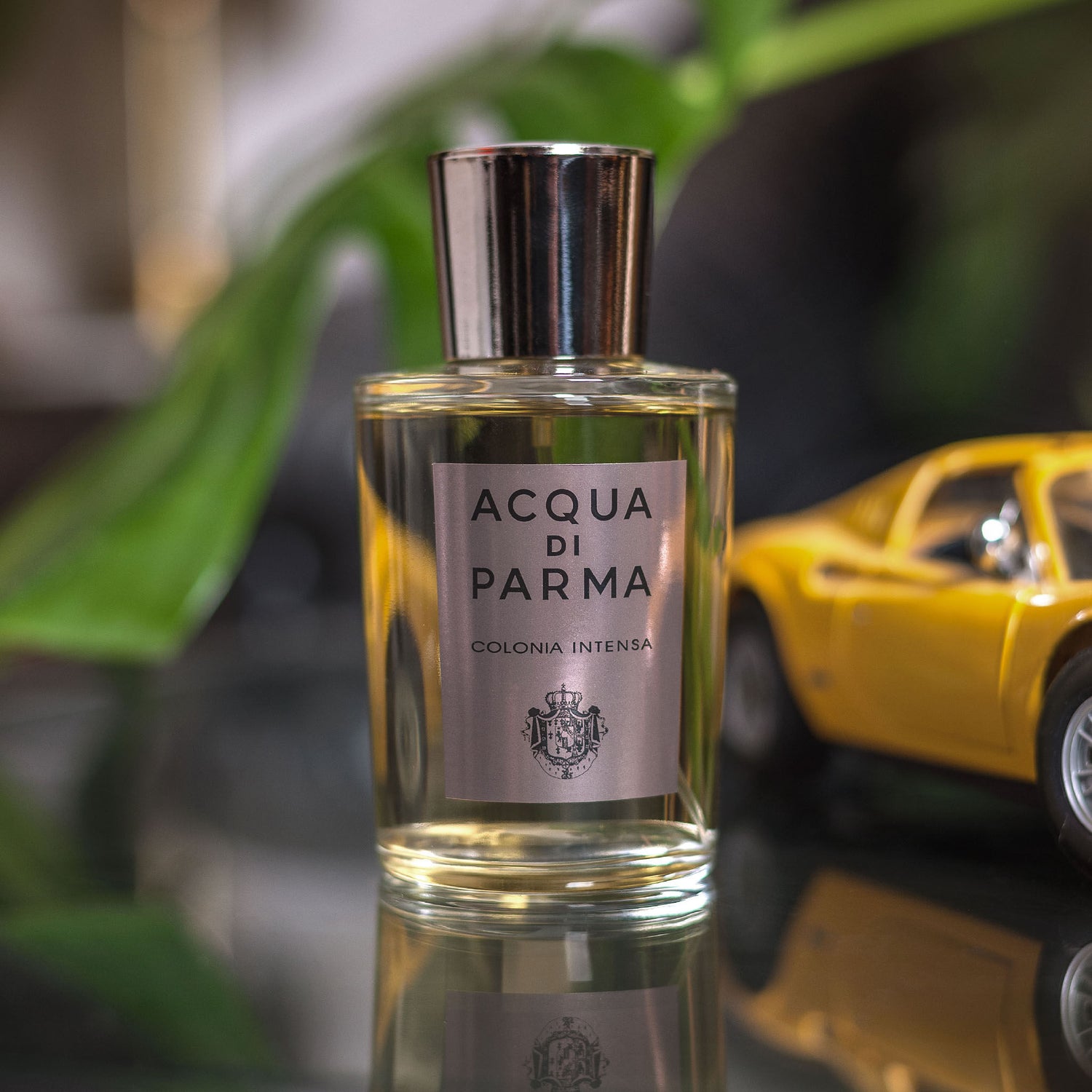 Lifestyle image of Acqua di Parma Colonia Intensa Eau de Cologne Spray variant: 1.7 fl oz