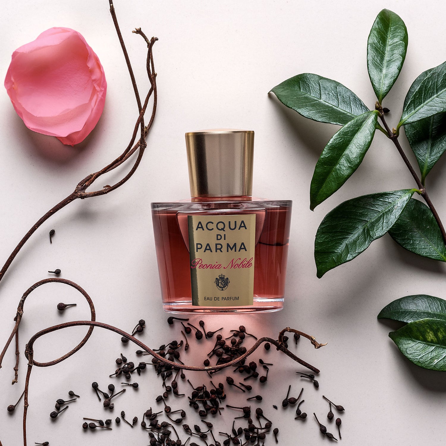 Lifestyle image of Acqua di Parma Peonia Nobile Eau de Parfum variant: 1.7 oz