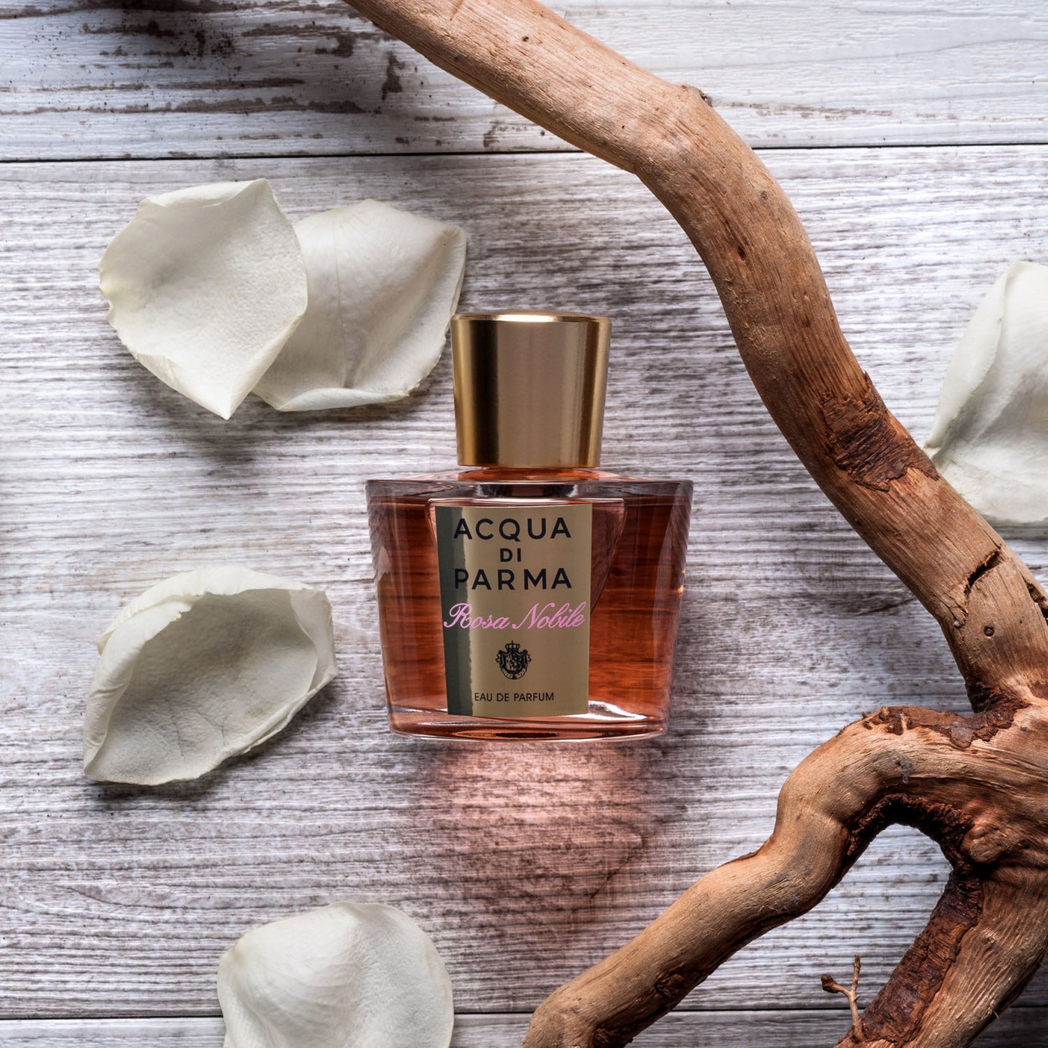 Lifestyle image of Acqua di Parma Rosa Nobile Eau de Parfum variant: 1.7 oz