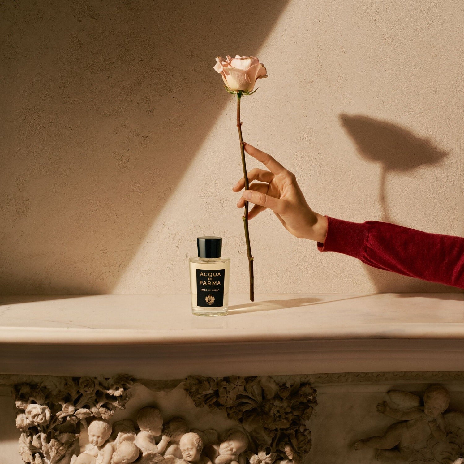 Lifestyle image of Acqua di Parma Luce di Rosa Eau de Parfum