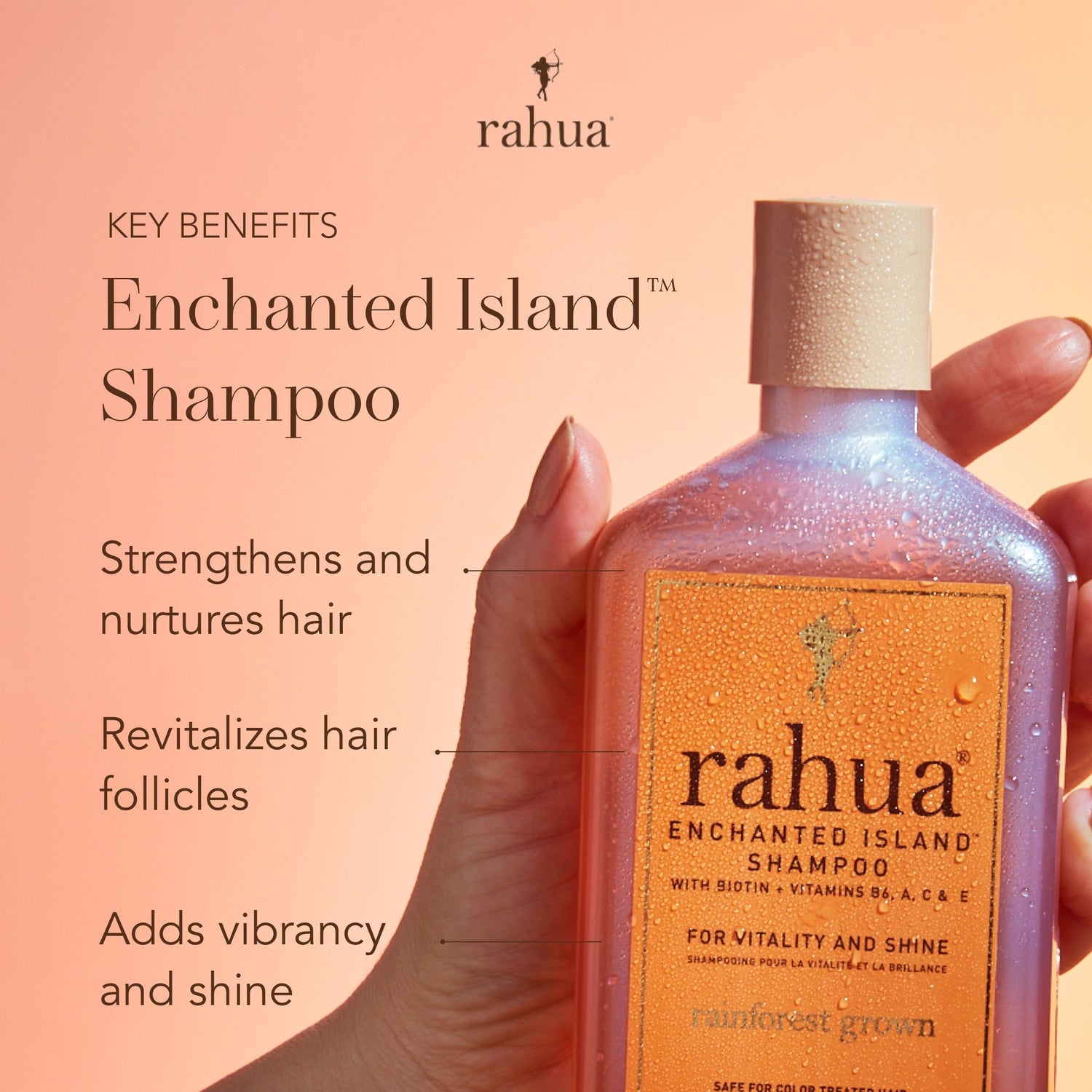 Information related to Rahua Enchanted Island Shampoo