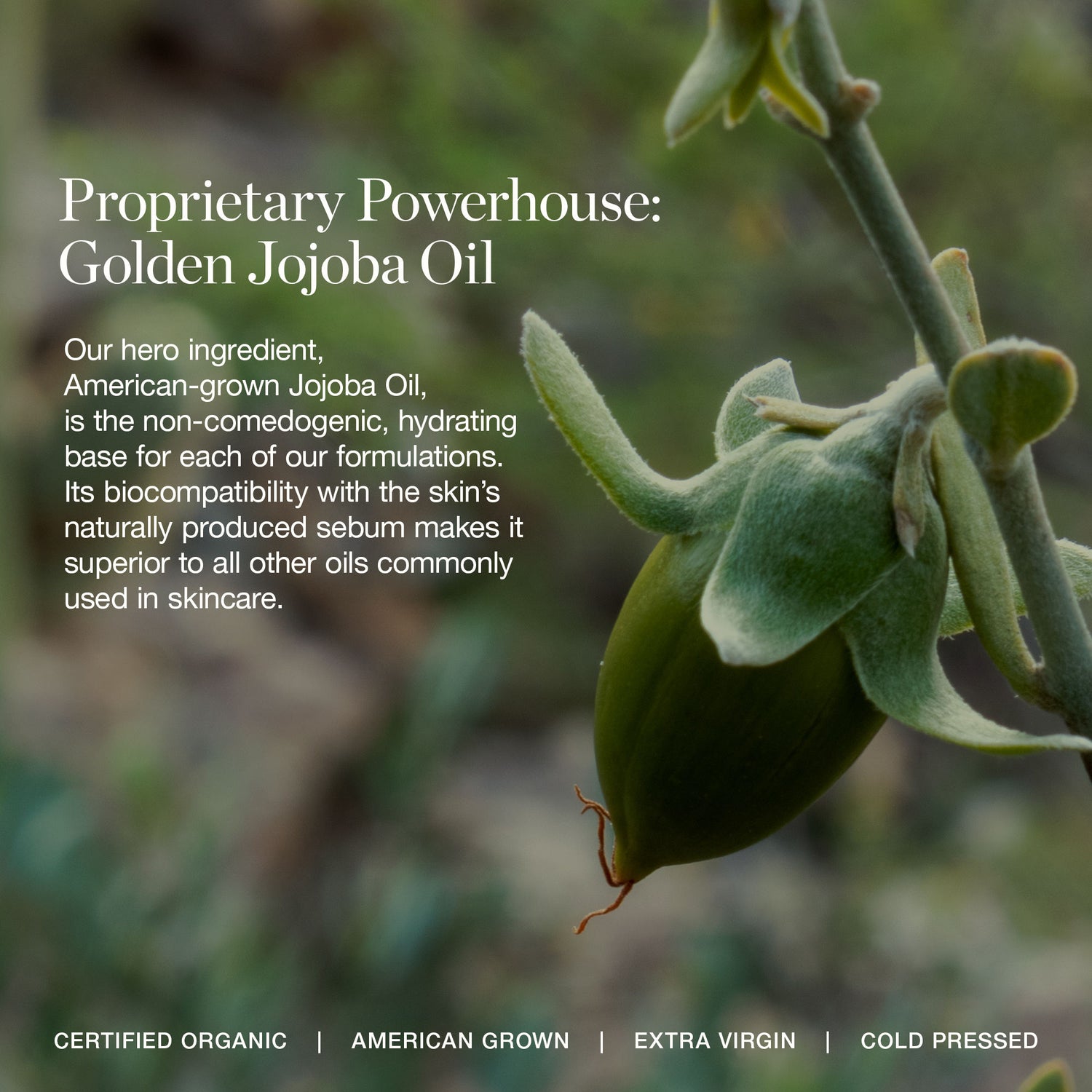 Image of product in the same collection as Ogee Complexion Perfecting Concealer