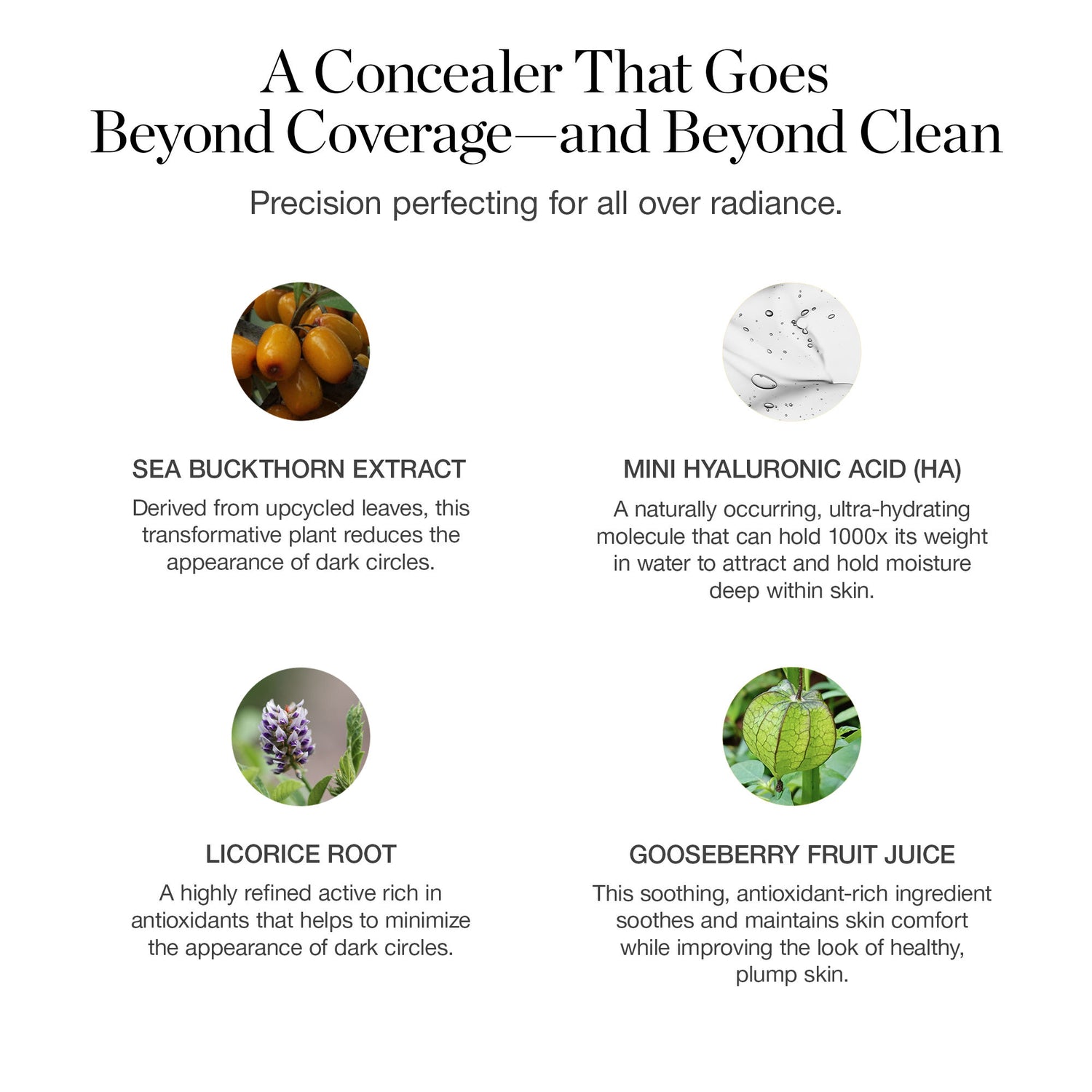 Image of product in the same collection as Ogee Complexion Perfecting Concealer
