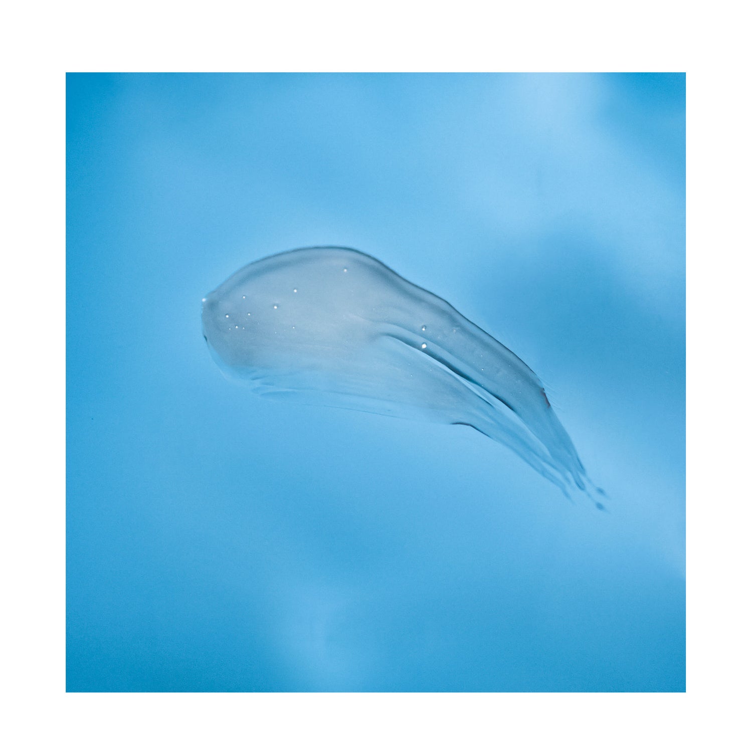 Swatch image of R+Co Atlantis Moisturizing B5 Shampoo variant: 8.5 fl oz