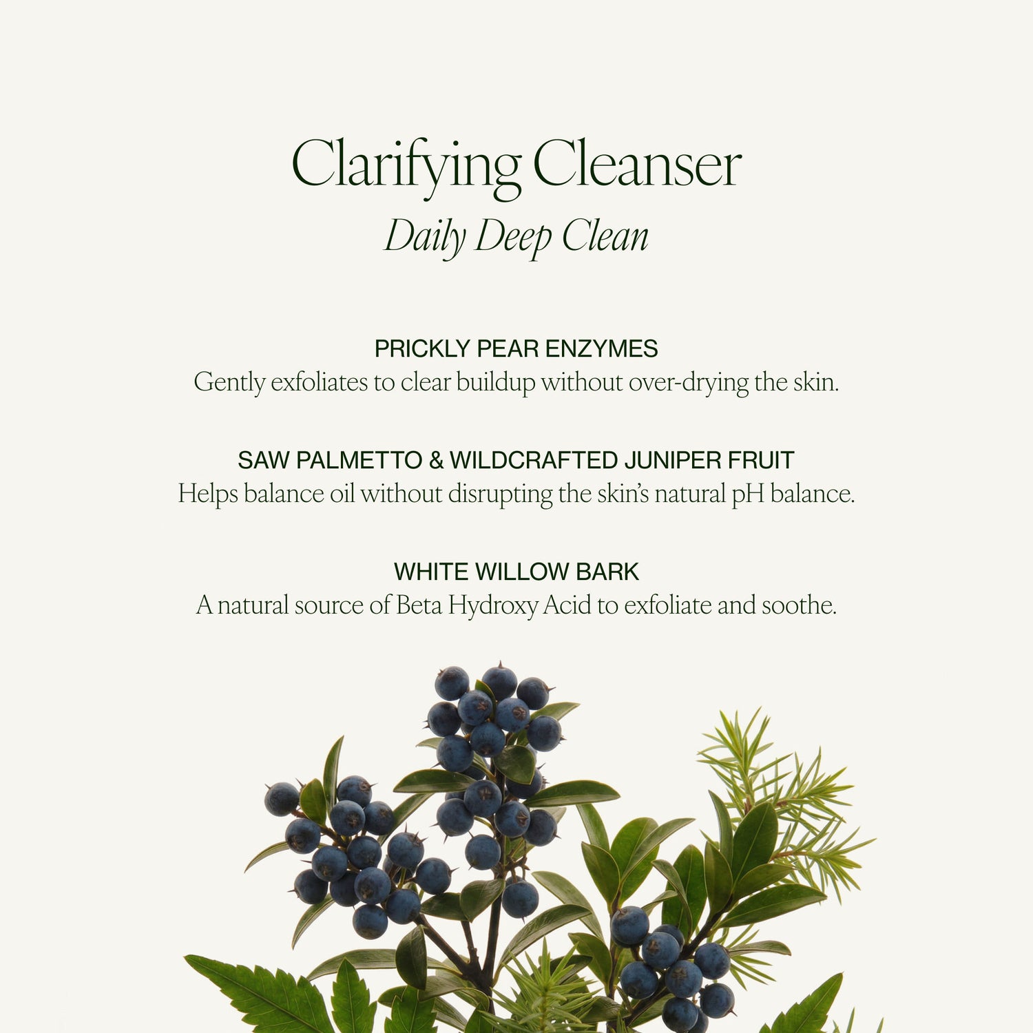 Information related to Tata Harper Clarifying Cleanser