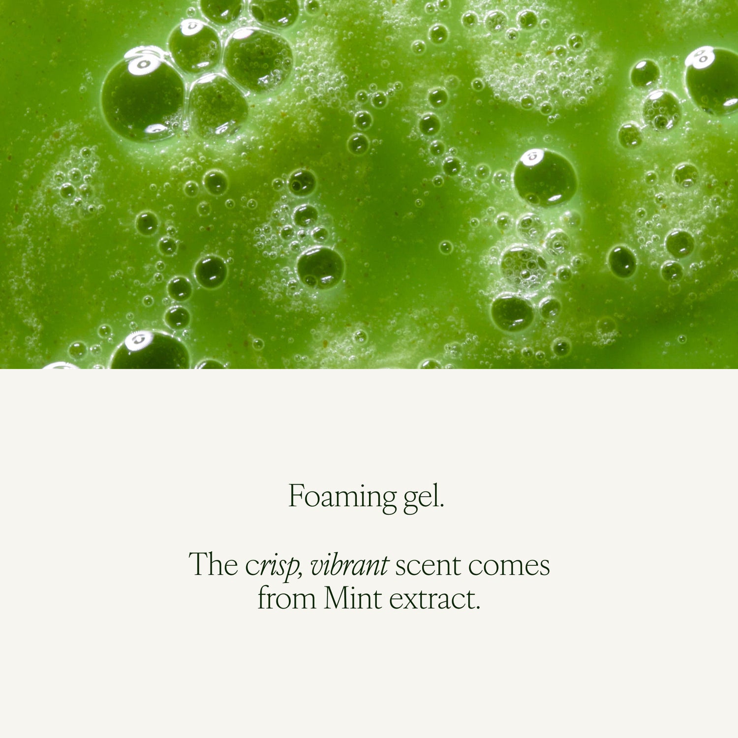 Information related to Tata Harper Clarifying Cleanser