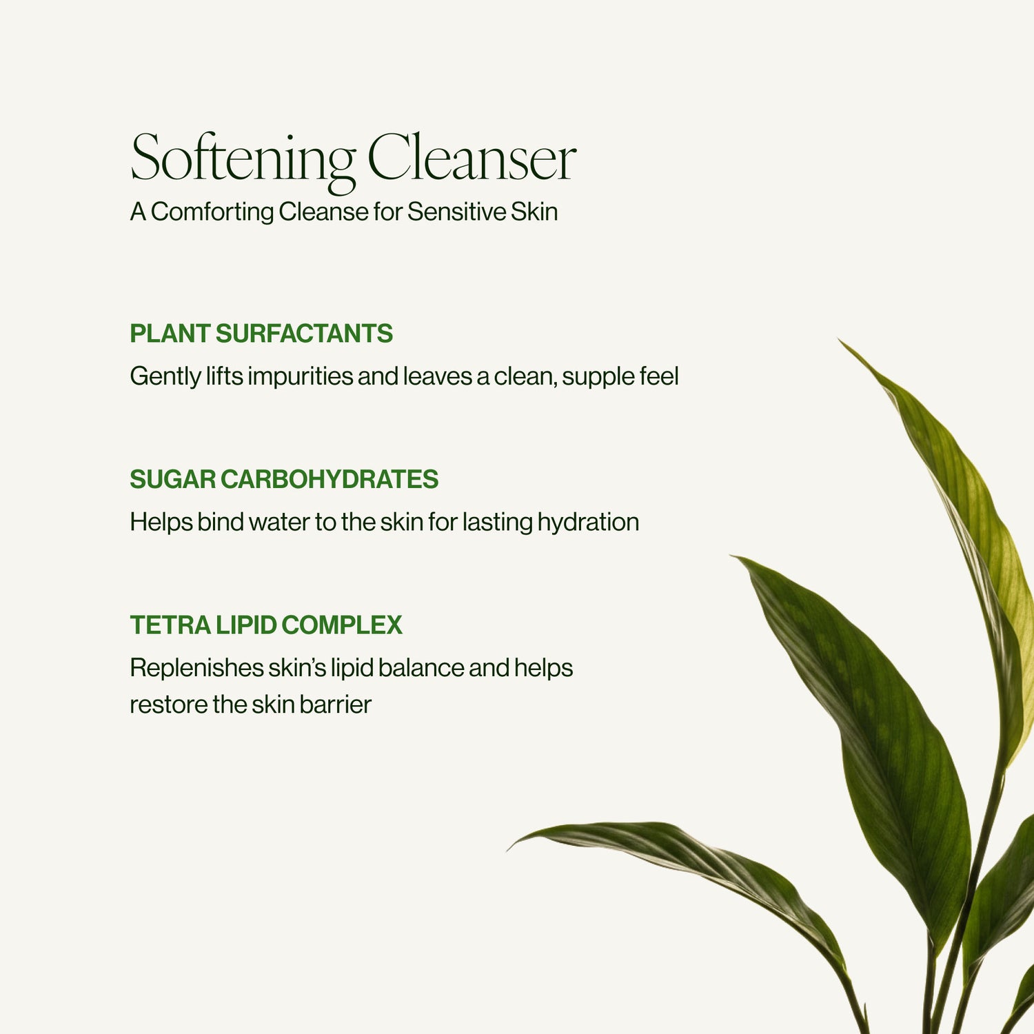 Image of product in the same collection as Tata Harper Softening Cleanser