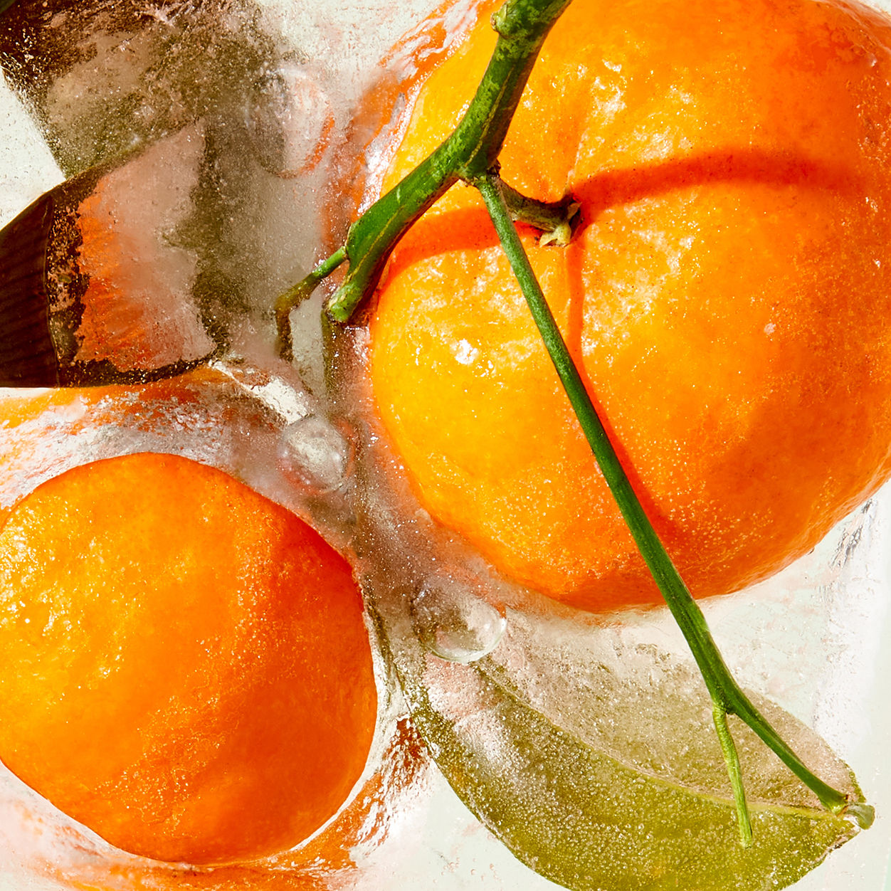 Lifestyle image of Tata Harper Water-Lock Moisturizer