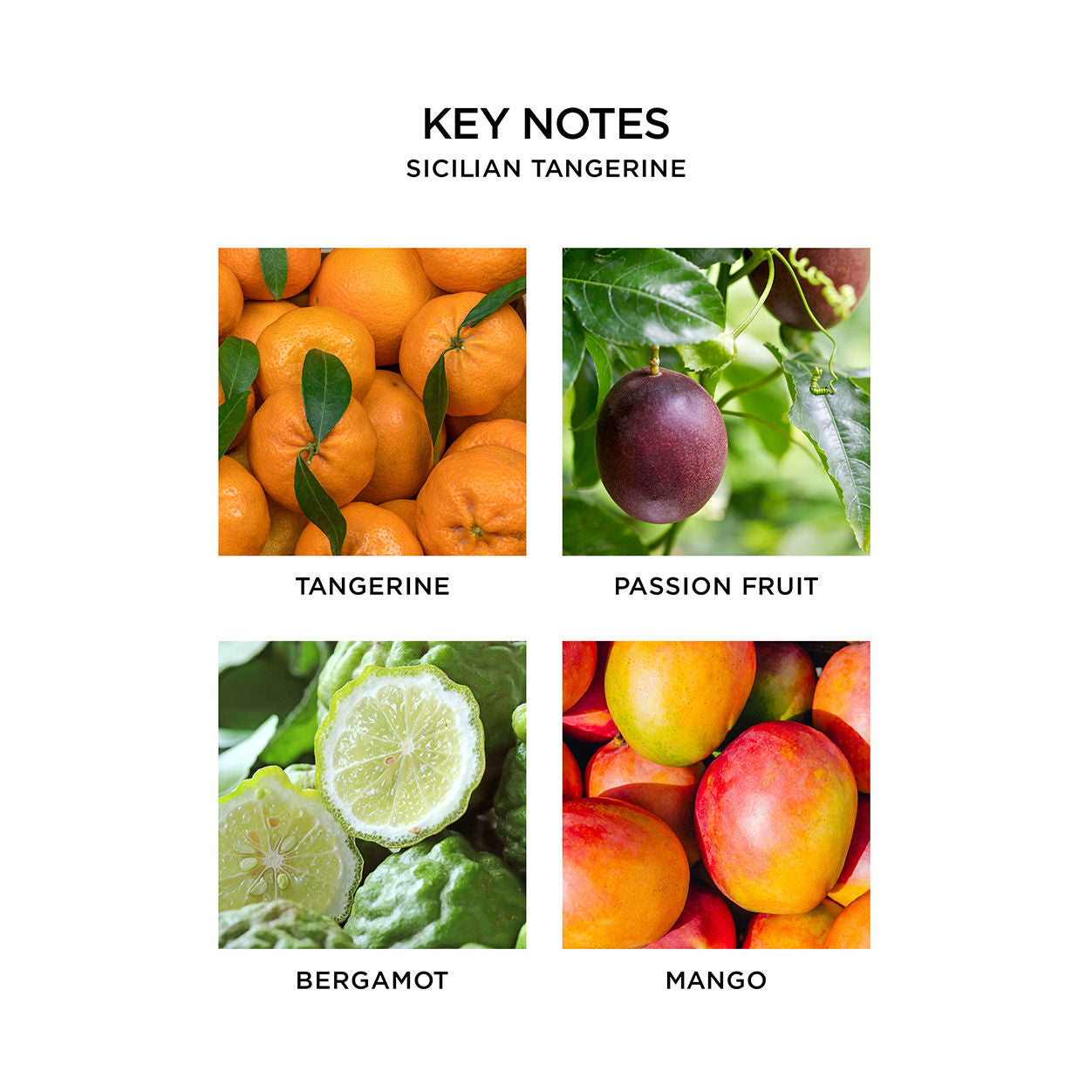 Information related to