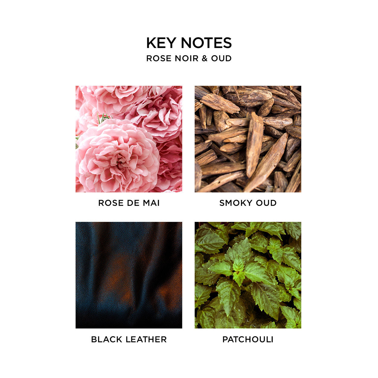 Information related to Nest Rose Noir and Oud Candle