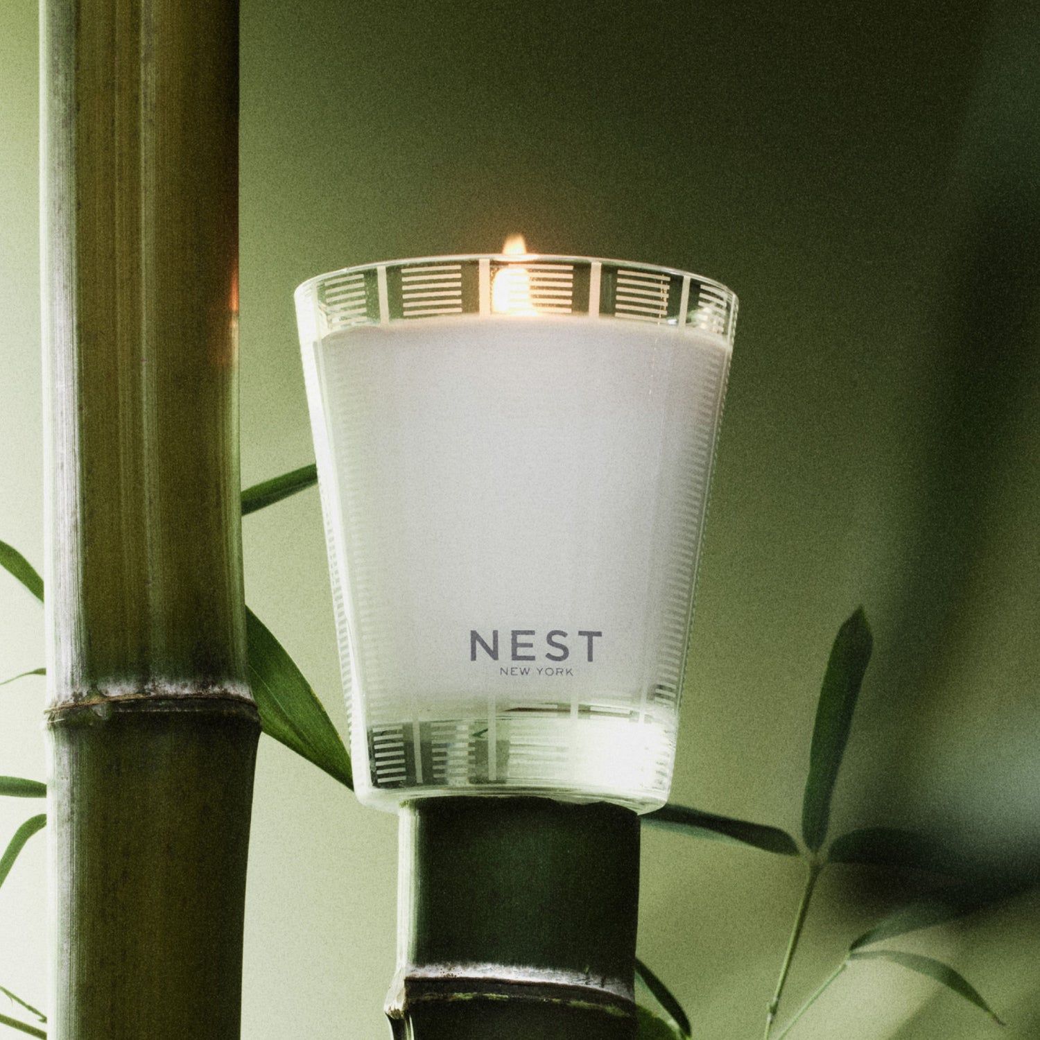 Lifestyle image of Nest Bamboo Candle variant: 8.1 oz (Classic)