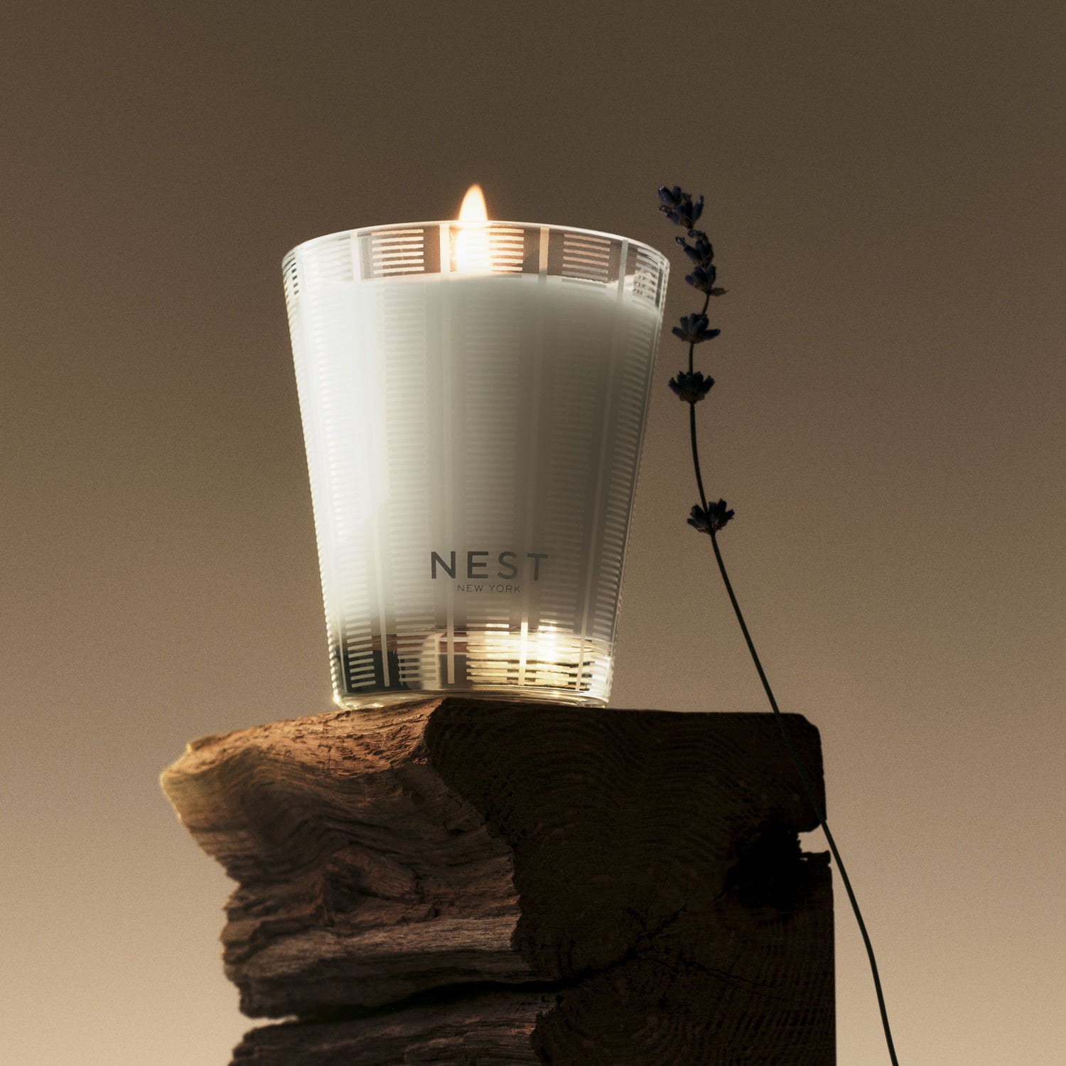 Lifestyle image of Nest Cedar Leaf & Lavender Candle variant: 8.1 oz (Classic)